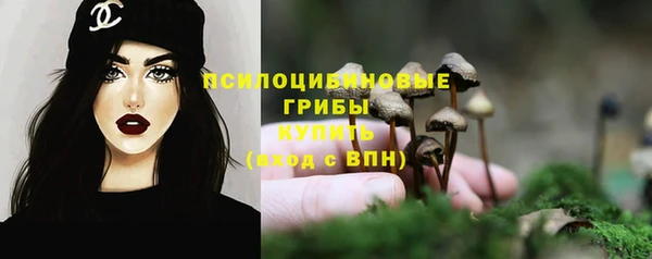 PSILOCYBIN Сосновоборск