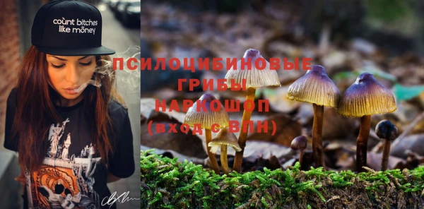 марки lsd Сосновка