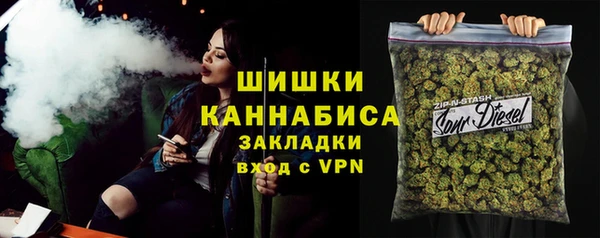 стафф Богородск